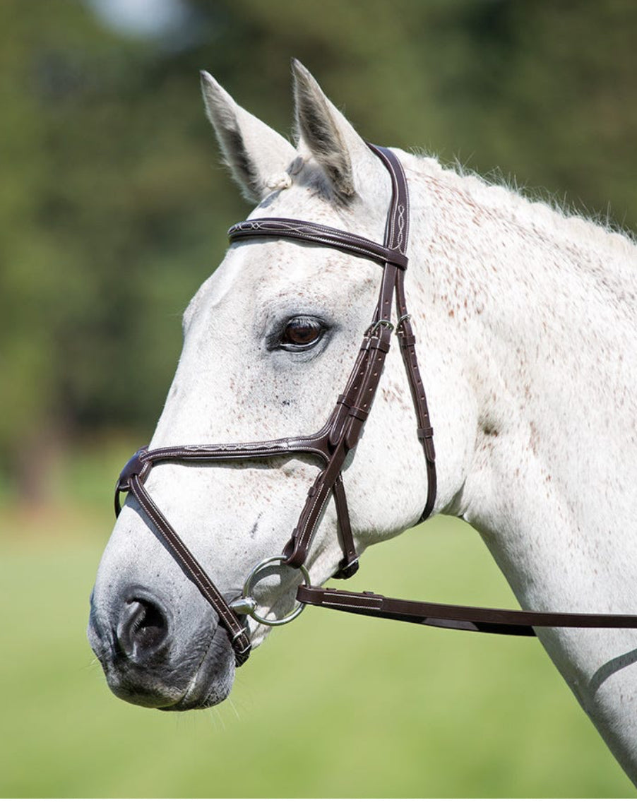 Avignon leather grackle bridle. SALE.