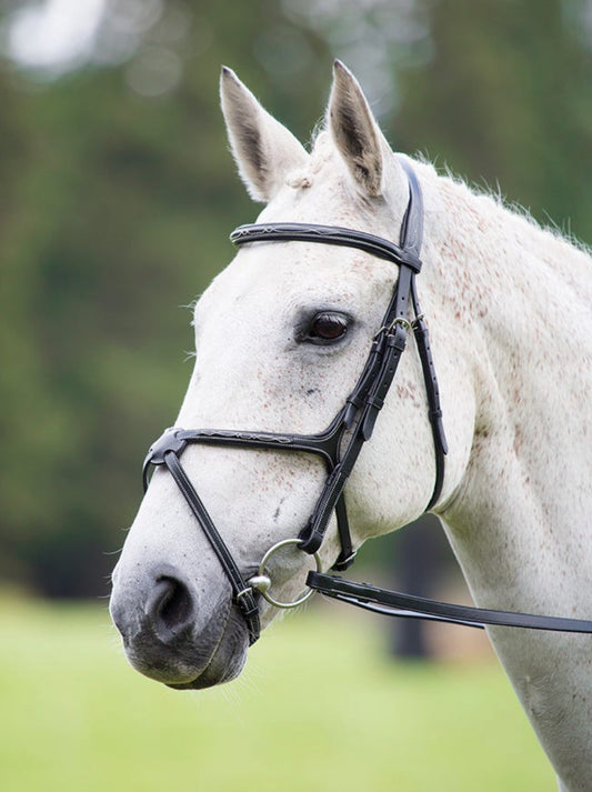 Avignon leather grackle bridle. SALE.